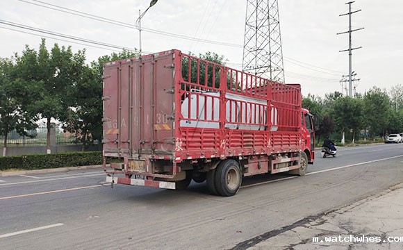 6吨鲜奶保温运输罐