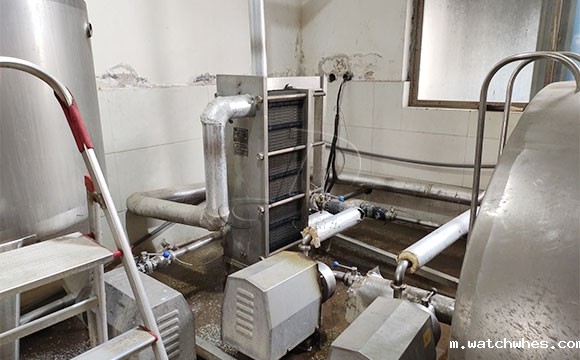 河南某客户使用我公司并列式<a href=/ target=_blank class=infotextkey>挤奶机</a>为奶牛挤奶现场