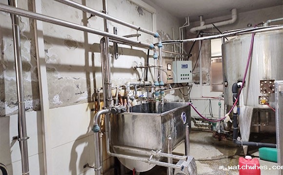 河南某客户使用我公司并列式<a href=/ target=_blank class=infotextkey>挤奶机</a>为奶牛挤奶现场