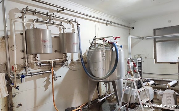河南某客户使用我公司并列式<a href=/ target=_blank class=infotextkey>挤奶机</a>为奶牛挤奶现场