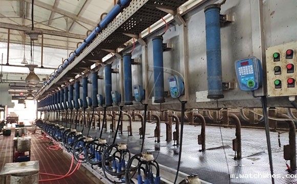 阿菲金奶牛挤奶机