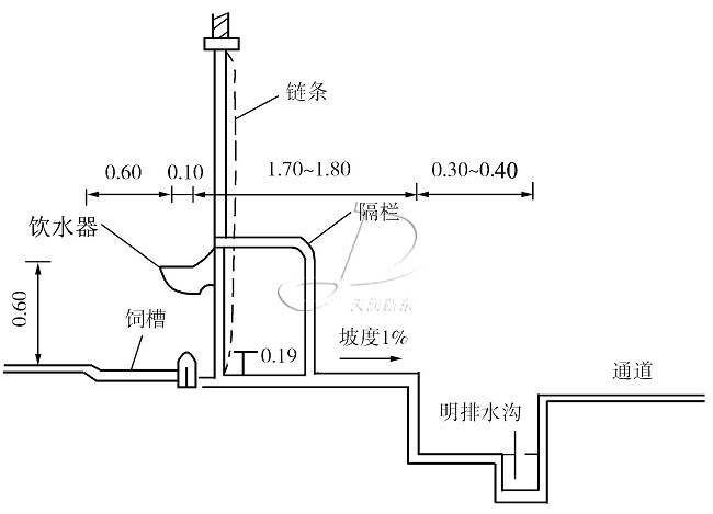 奶牛场养殖场设计要求