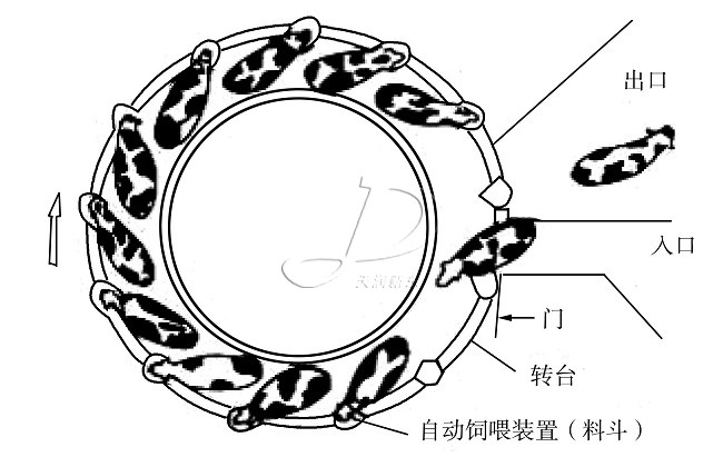 转盘式挤奶厅