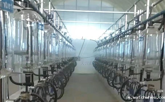 鱼骨式计量瓶奶牛<a href=/ target=_blank class=infotextkey>挤奶机</a>