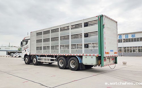 浅谈关于荷兰的生猪运输方式